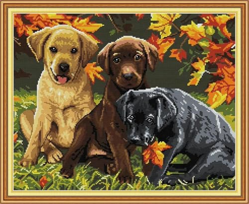 yade-show Kreuzstich-Stickset, Muster bedruckt, 11 ct, Drei Hunde, Ahornblatt bedruckt, DIY-Wandkunst, Handarbeitsset, 40 x 50 cm von yade-show