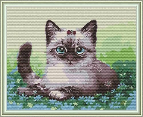 yade-show Kreuzstich-Stickset, Muster bedruckt, 11 ct, Tier, Katze, Blume, bedruckt, DIY-Wandkunst, Handarbeitsset, 40 x 50 cm yade-show Kreuzstich-Stickset, Muster bedruckt, 11 ct, Tier, Katze, Blume, bedruckt, DIY-Wandkunst, Handarbeitsset, 40 x 50 cm von yade-show
