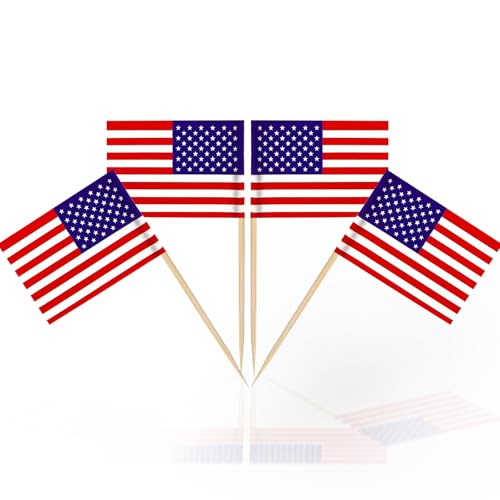 100 Stück Flaggen-Zahnstocher, Flagge, Cupcake-Topper für Geburtstag, Hochzeit, Babyparty, Nationalfeiertag (Amerika) von yayafunfun