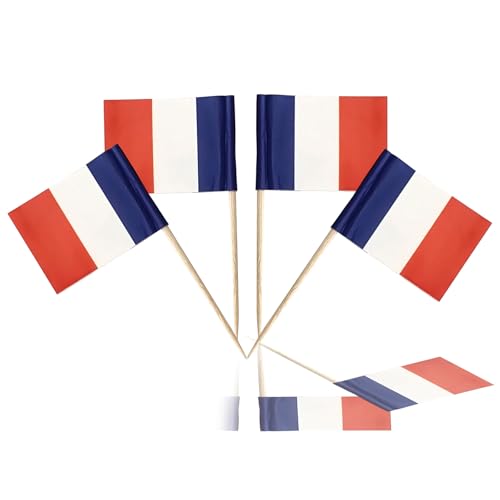 100 Stück Flaggen-Zahnstocher, Flagge, Cupcake-Topper für Geburtstag, Hochzeit, Babyparty, Nationalfeiertag (Frankreich) von yayafunfun