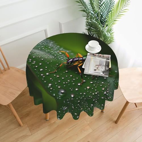 yefan Runde Tischdecke mit Regenbogen-Insekten, ca. 152,4 cm, für Innen- und Außenbereich, für Küchenpartys von yefan