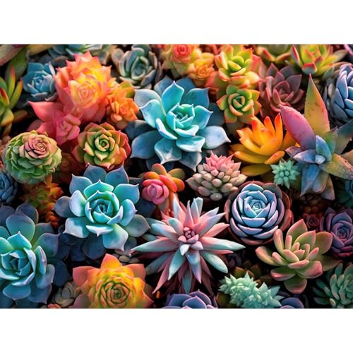 Gemartmall Sukkulenten Diamond Painting Erwachsene-Anlage Diamant Painting Bilder,Sukkulenten 5d Diamond Painting Set Erwachsene Arts Craft für Home Wand Decor 30x40cm von Gemartmall