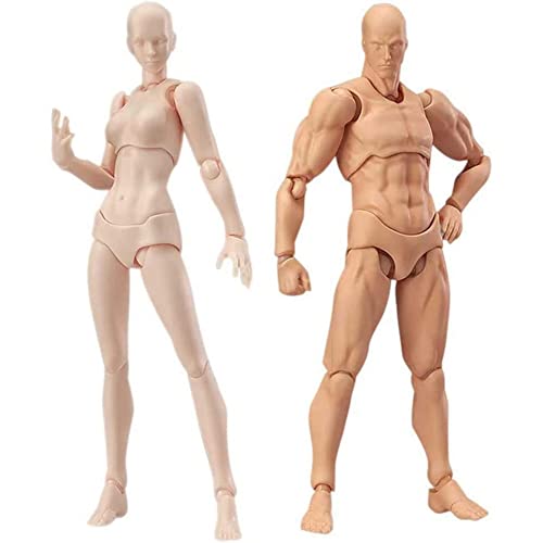 yoligan Body Doll, Künstler Manikin Blockhead Jointed Mannequin Zeichnung Figuren männlich+weiblich Set (Hautfarbe) von yoligan