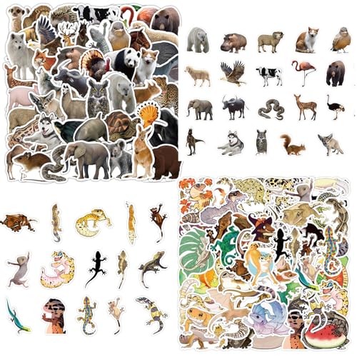 yolzhxe 100 Stück Sticker Tiere, Selbstklebende Sticker Tiere, Wasserfest, Selbstklebend, Aufkleber, Ideal Als Klassenpreis Kinder Lehrerpreis Motivation Aufkleber Dekoration yolzhxe 100 Stück Sticker Tiere, Selbstklebende Sticker Tiere, Wasserfest, Selbstklebend, Aufkleber, Ideal Als Klassenpreis Kinder Lehrerpreis Motivation Aufkleber Dekoration von yolzhxe