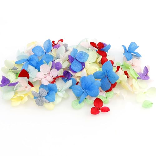yufana 100 Stück Kunstblumen Basteln Blumen, Getrocknete Blumen Echte, Echte Getrocknete Blumen, DIY Gepresste Blumen, Zur Verwendung für Scrapbooking, Grußkarten, Bastelschmuck, Geschenkpapier von yufana