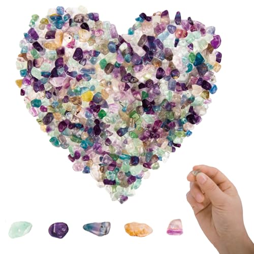yumcute 400 Stück Perlen für Armbänder, 5~8mm Fluorit Bunte Perlen, Edelstein Perlen Armbänder Selber Machen, Unregelmäßige Gebohrt Naturstein Perlen für Herstellung von Halsketten und Ohrringen yumcute 400 Stück Perlen für Armbänder, 5~8mm Fluorit Bunte Perlen, Edelstein Perlen Armbänder Selber Machen, Unregelmäßige Gebohrt Naturstein Perlen für Herstellung von Halsketten und Ohrringen von yumcute