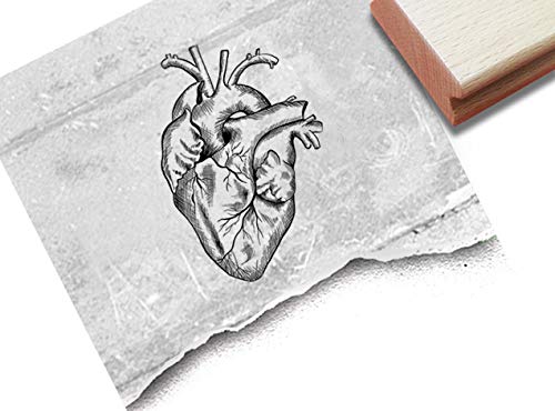 Stempel Anatomisches Herz - Motivstempel Medizin Schule Liebe Valentinstag Hochzeit Karten Scrapbook Bullet Journal Basteln Kunst Deko - zAcheR-fineT (groß ca. 61 x 89 mm) von zAcheR-fineT-design