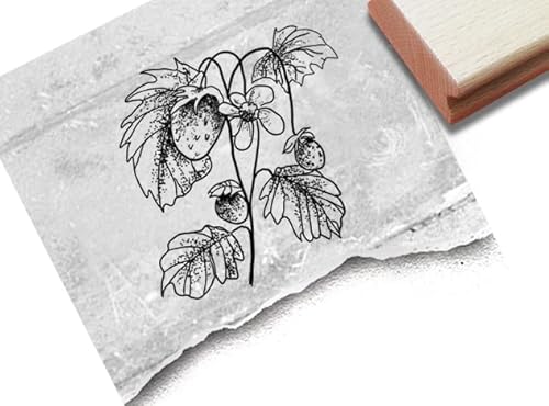 Stempel Motivstempel Erdbeer-Pflanze mit Erdbeeren - Bildstempel für Karten Basteln Scrapbook Schilder Etiketten Garten-Deko Geschenk - zAcheR-fineT Stempel Motivstempel Erdbeer-Pflanze mit Erdbeeren - Bildstempel für Karten Basteln Scrapbook Schilder Etiketten Garten-Deko Geschenk - zAcheR-fineT von zAcheR-fineT-design