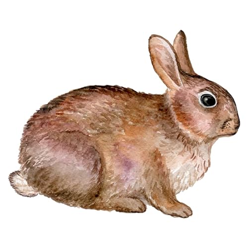 Hare Kaninchen, Transferpapier Wärmeübertragungsaufkleber Zum Aufbügeln Waschbare Patch Dekoration Applikationen Für Textilien – Sticker zum Aufbügeln DIY NN3251 von zebra-shop