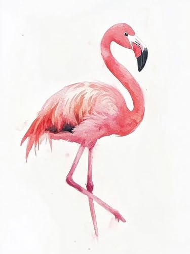 Flamingo Malen Nach Zahlen Erwachsene, Tier Malen Nach Zahlen XXL 100X130CM, Ölgemälde Kunst Handwerk mit Pinseln und Acrylfarbe, Paint by Numbers für Deko Wohnzimmer, Geschenke für Frauen, Model 1000 Flamingo Malen Nach Zahlen Erwachsene, Tier Malen Nach Zahlen XXL 100X130CM, Ölgemälde Kunst Handwerk mit Pinseln und Acrylfarbe, Paint by Numbers für Deko Wohnzimmer, Geschenke für Frauen, Model 1000 von zhangzen
