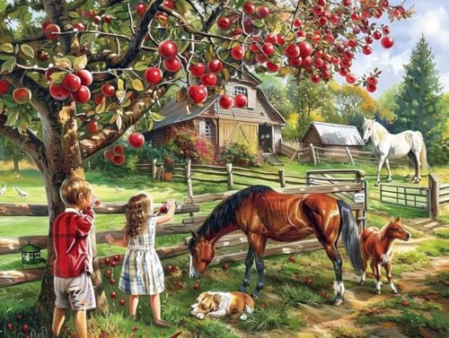 Diamond Painting Set Erwachsene Bauernhof Diamant Painting Bilder Pferd Rund Steine Bilder ZubehöR Set,5D Crystal Art Kinder 5D DIY Basteln Erwachsene Bastelset für Haus Wanddeko 45x60cm Q49 Diamond Painting Set Erwachsene Bauernhof Diamant Painting Bilder Pferd Rund Steine Bilder ZubehöR Set,5D Crystal Art Kinder 5D DIY Basteln Erwachsene Bastelset für Haus Wanddeko 45x60cm Q49 von zzgoanguo